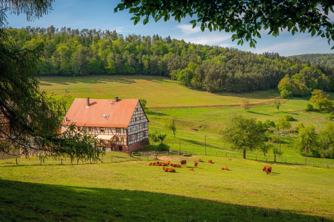 Agroturystyka to szansa dla polskiej wsi
